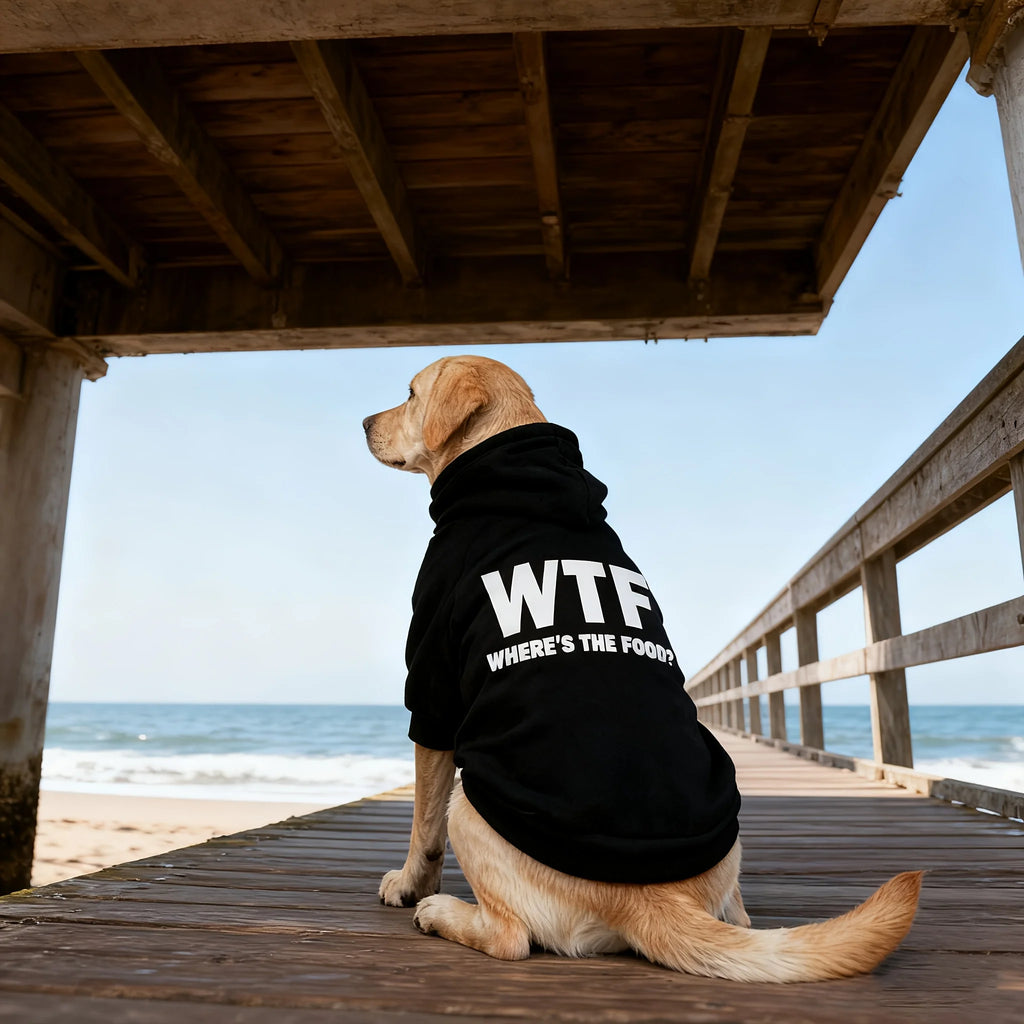 This New Pet Hoodie Features A 'WHERE'S THE FOOD?' Print, Designed Specifically for Medium To Large Dogs