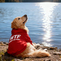This New Pet Hoodie Features A 'WHERE'S THE FOOD?' Print, Designed Specifically for Medium To Large Dogs