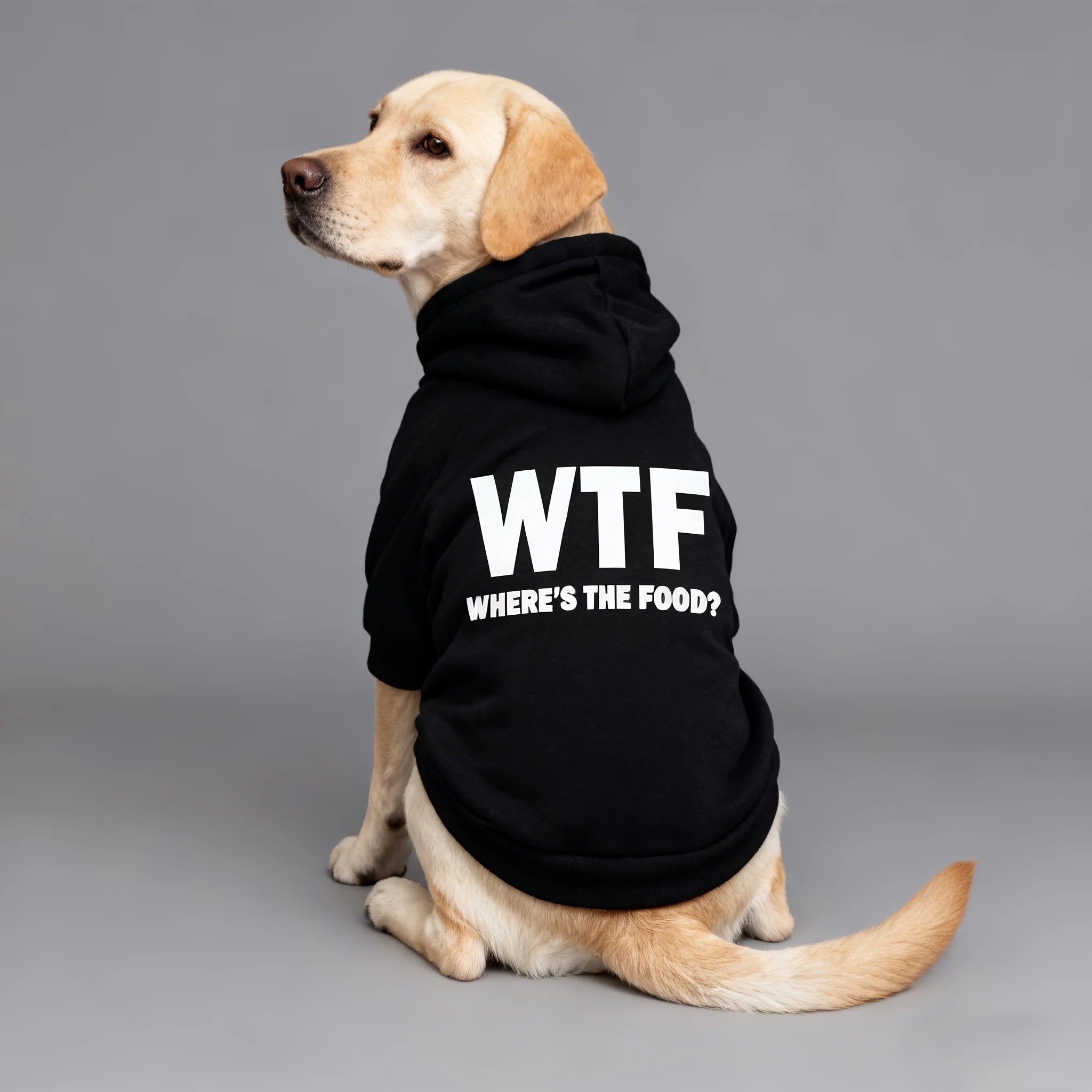 This New Pet Hoodie Features A 'WHERE'S THE FOOD?' Print, Designed Specifically for Medium To Large Dogs