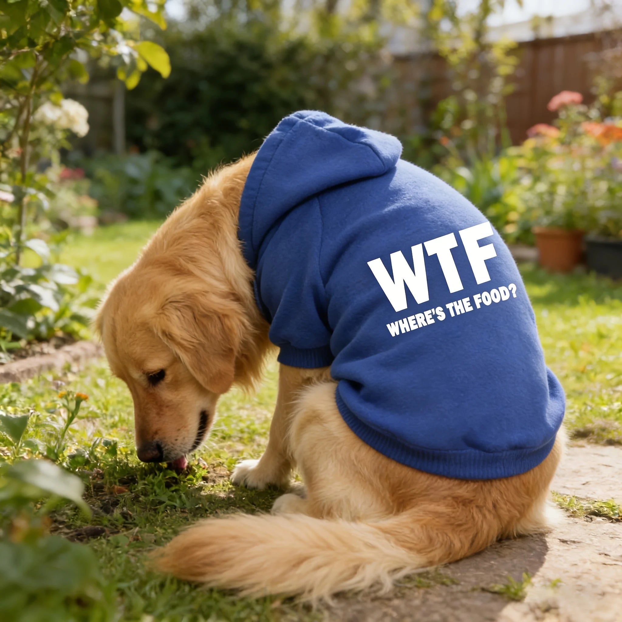 This New Pet Hoodie Features A 'WHERE'S THE FOOD?' Print, Designed Specifically for Medium To Large Dogs